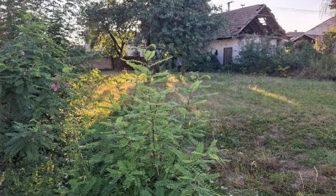 Kaufen Einfamilienhaus, Einfamilienhaus, Nové Zámky, Slowakei