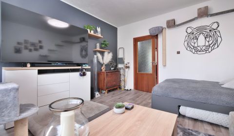 Kaufen 2-Zimmer-Wohnung, 2-Zimmer-Wohnung, Furdeka, Martin, Slowakei