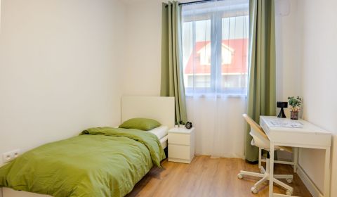 Suche Einfamilienhaus, Einfamilienhaus, Nové Zámky, Slowakei