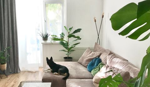 Kaufen 2-Zimmer-Wohnung, 2-Zimmer-Wohnung, Miletičova, Bratislava - Ru