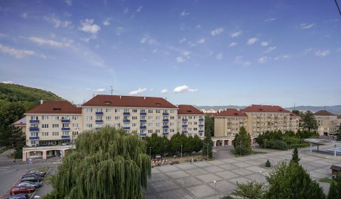 Kaufen 2-Zimmer-Wohnung, 2-Zimmer-Wohnung, Sad kpt. Nálepku, Ilava, Sl