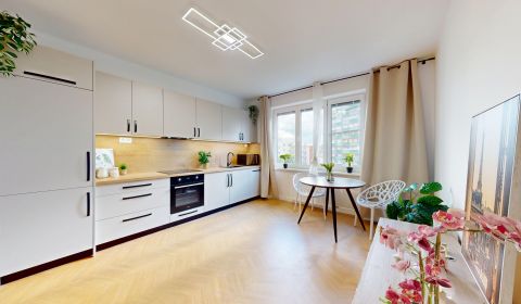 BA/NIVY-Miete einer komplett renovierten 3-Zimmer-Wohnung 