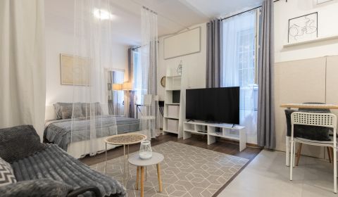 Mieten 1-Zimmer-Wohnung, 1-Zimmer-Wohnung, Moyzesova, Bratislava - Sta