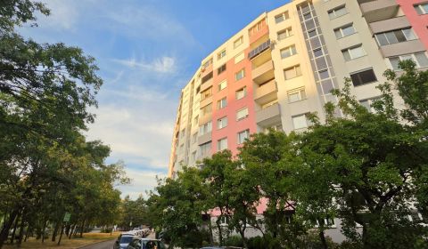 Kaufen 4-Zimmer-Wohnung, 4-Zimmer-Wohnung, Furdekova, Bratislava - Pet