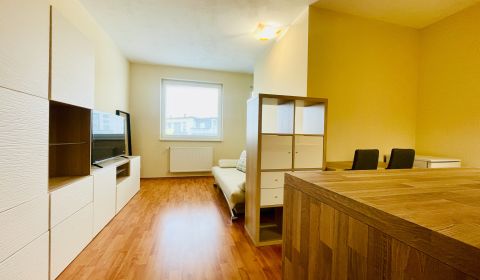 Mieten 1-Zimmer-Wohnung, 1-Zimmer-Wohnung, Pezinská, Senec, Slowakei