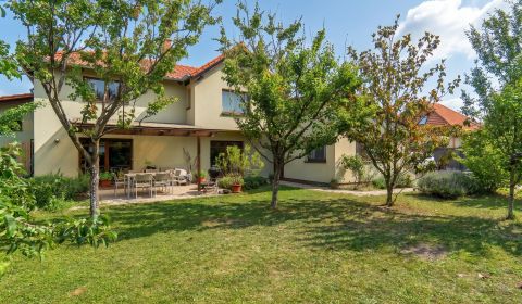 Kaufen Einfamilienhaus, Einfamilienhaus, Nové Košariská, Senec, Slowak