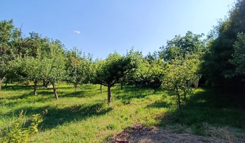 Kaufen Baugrund, Baugrund, Nitra, Slowakei