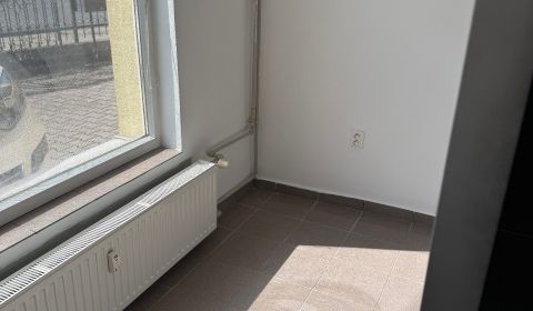 Mieten Geschäftsräumlichkeiten, Geschäftsräumlichkeiten, Saratovská, L