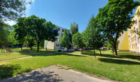 Kaufen 2-Zimmer-Wohnung, 2-Zimmer-Wohnung, Nešporova, Šaľa, Slowakei