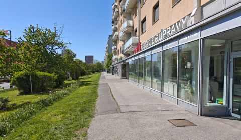 Mieten Geschäftsräumlichkeiten, Geschäftsräumlichkeiten, Račianska 99,