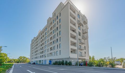Kaufen 2-Zimmer-Wohnung, 2-Zimmer-Wohnung, Labutia, Bratislava - Petrž