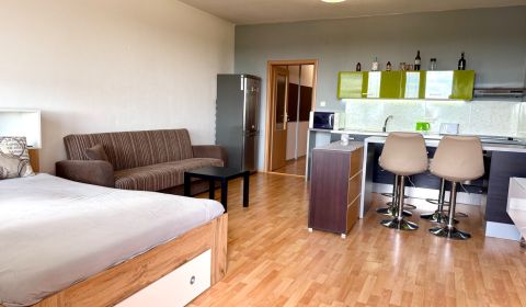 Mieten 1-Zimmer-Wohnung, 1-Zimmer-Wohnung, Vyšehradská, Bratislava - P
