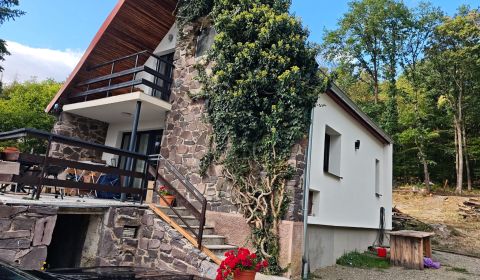 Kaufen Ferienhaus, Ferienhaus, Kamenec, Michalovce, Slowakei