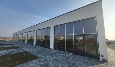 Mieten Geschäftsräumlichkeiten, Geschäftsräumlichkeiten, Podjavorinske