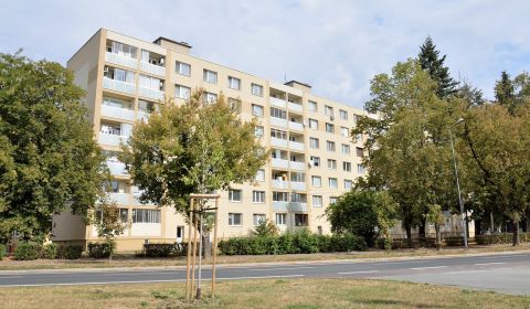 Kaufen 2-Zimmer-Wohnung, 2-Zimmer-Wohnung, Jozefa Murgaša, Michalovce,