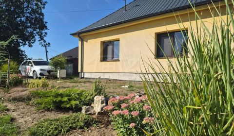 Kaufen Einfamilienhaus, Einfamilienhaus, Nitra, Slowakei
