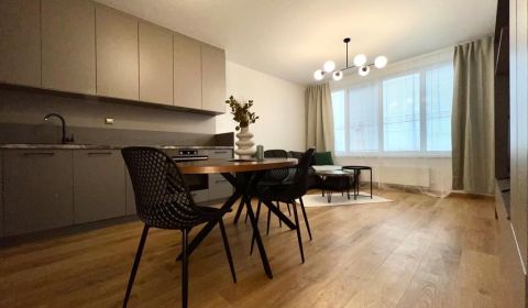 Mieten 2-Zimmer-Wohnung, 2-Zimmer-Wohnung, Mlynské nivy, Bratislava - 