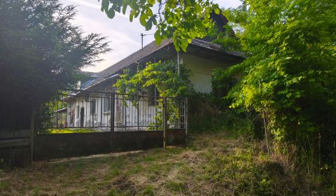 Kaufen Einfamilienhaus, Einfamilienhaus, Veľký Krtíš, Slowakei