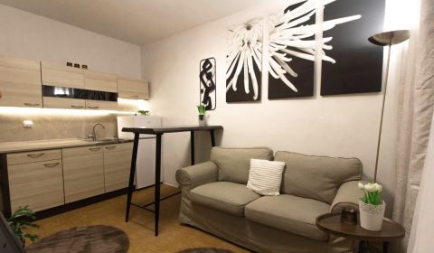 Mieten 1-Zimmer-Wohnung, 1-Zimmer-Wohnung, Veľkonecpalská, Prievidza, 