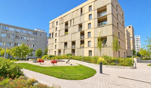 Kaufen 2-Zimmer-Wohnung, 2-Zimmer-Wohnung, Račianska, Bratislava - Nov
