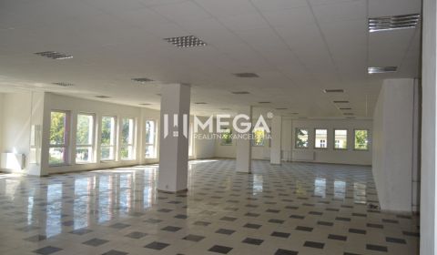 Mieten Geschäftsräumlichkeiten, Geschäftsräumlichkeiten, námestie slob