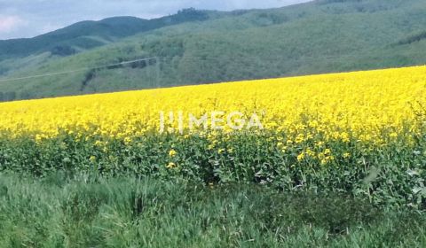 Kaufen landwirtsch. Grundstücke, landwirtsch. Grundstücke, Kamenica, H