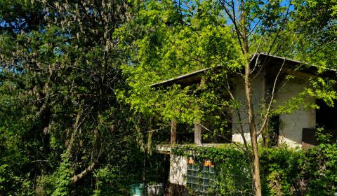 Kaufen Garten, Garten, Šípková, Košice - Krásna, Slowakei