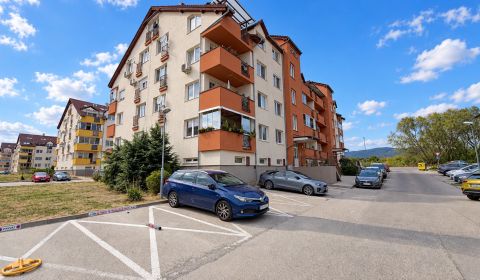 PEZINOK-Geräumige 2-Zimmer-Wohnung mit Loggia und Kleiderschrank