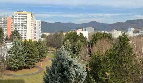 Suche 1-Zimmer-Wohnung, 1-Zimmer-Wohnung, Trieda Hradca Králové, Bansk