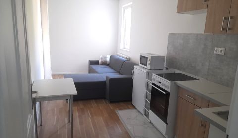 Mieten 2-Zimmer-Wohnung, 2-Zimmer-Wohnung, Ľadová, Bratislava - Staré 