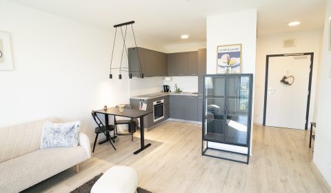 Kaufen 2-Zimmer-Wohnung, 2-Zimmer-Wohnung, Hraničná, Bratislava - Ruži