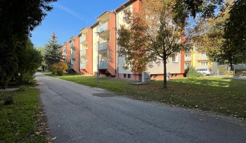 Kaufen 2-Zimmer-Wohnung, 2-Zimmer-Wohnung, Gen. Viesta, Trenčín, Slowa