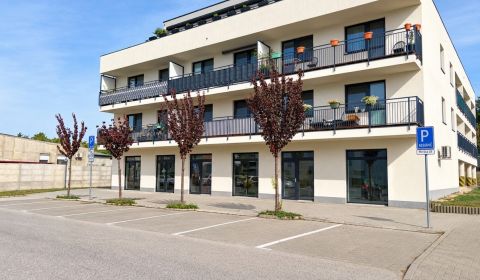 Kaufen 2-Zimmer-Wohnung, 2-Zimmer-Wohnung, Topoľová, Trnava, Slowakei