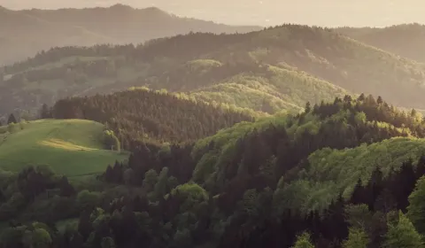 Kaufen landwirtsch. Grundstücke, Humenné, Slowakei