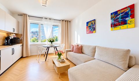BA/NIVY-Miete einer komplett renovierten 3-Zimmer-Wohnung 
