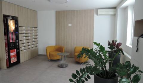 Büros, Koceľova, zu vermieten, Bratislava - Ružinov, Slowakei