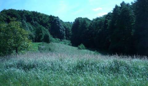 Lesné pozemky vrátane zastavaných ploch a nádvorí, Látky - Málinec