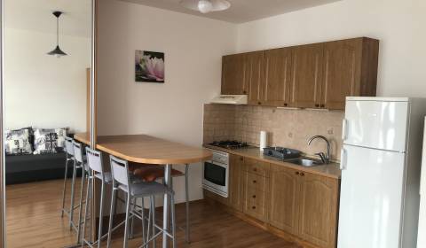 1-Zimmer-Wohnung, Uzbecká, zu vermieten, Bratislava - Podunajské Bisku