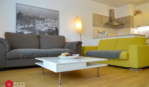 MEINL RESIDENCE (C2) - KLARE WÖRTER BRAUCHEN KEINEN INTERPRETER