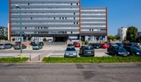 Büros, Seberíniho, zu vermieten, Bratislava II, Slowakei