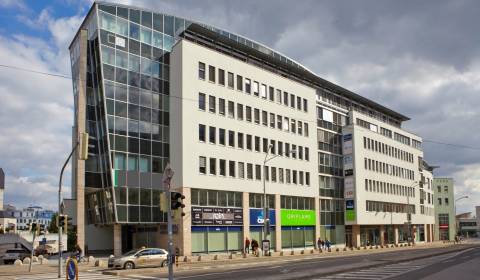 Büros, Suché mýto, zu vermieten, Bratislava - Staré Mesto, Slowakei