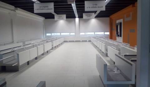 Lager und Hallen, Stará Vajnorská, zu vermieten, Bratislava - Nové Mes