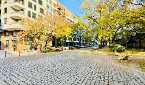 Mieten 2-Zimmer-Wohnung, 2-Zimmer-Wohnung, Blumentálska, Bratislava - 