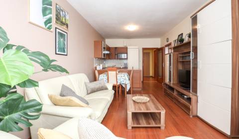 Mieten 2-Zimmer-Wohnung, 2-Zimmer-Wohnung, Jégého, Bratislava - Ružino