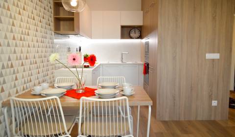 NEUBAU BYTY FUXOVA (F2) | DESIGN-ZWEI-ZIMMER-WOHNUNG ZU VERMIETEN
