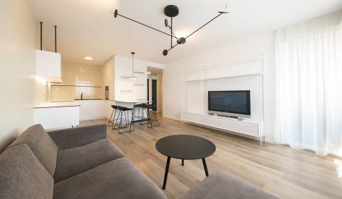 Mieten 2-Zimmer-Wohnung, 2-Zimmer-Wohnung, Bosákova, Bratislava - Petr