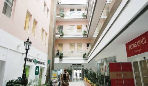 Büros, zu vermieten, Bratislava - Staré Mesto, Slowakei