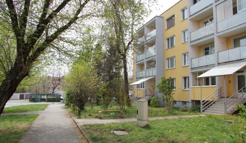 2 Zimmer Wohnung, Mikovíniho, zu vermieten, Košice - Západ, Slowakei