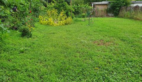 Garten, Nová osada, zu verkaufen, Komárno, Slowakei