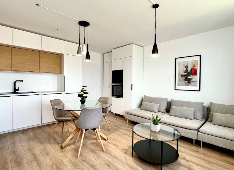 Designer-Küche und Wohnzimmer in einer 2-Zimmer-Wohnung mit Holzelementen und Dekoration.